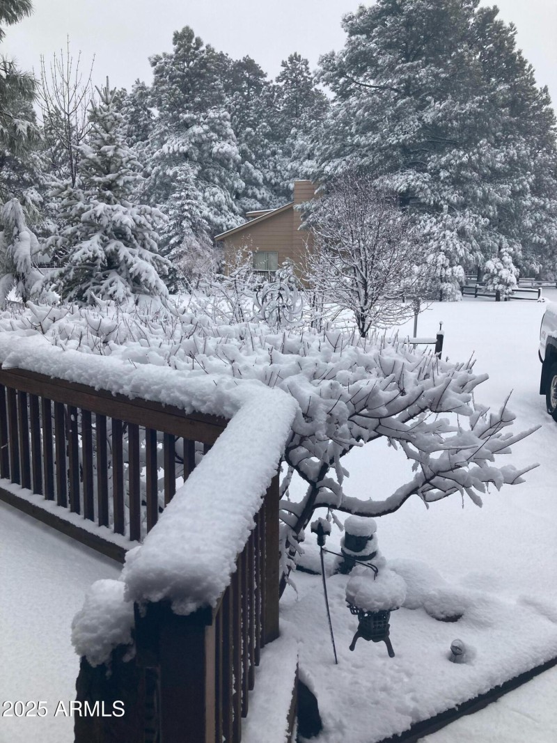 Winter Wonderland