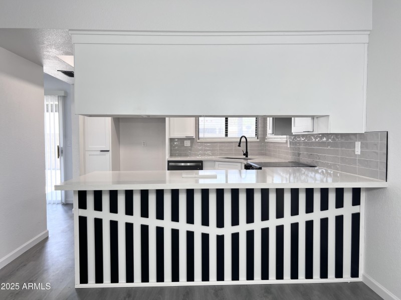 Kitchen Pic6
