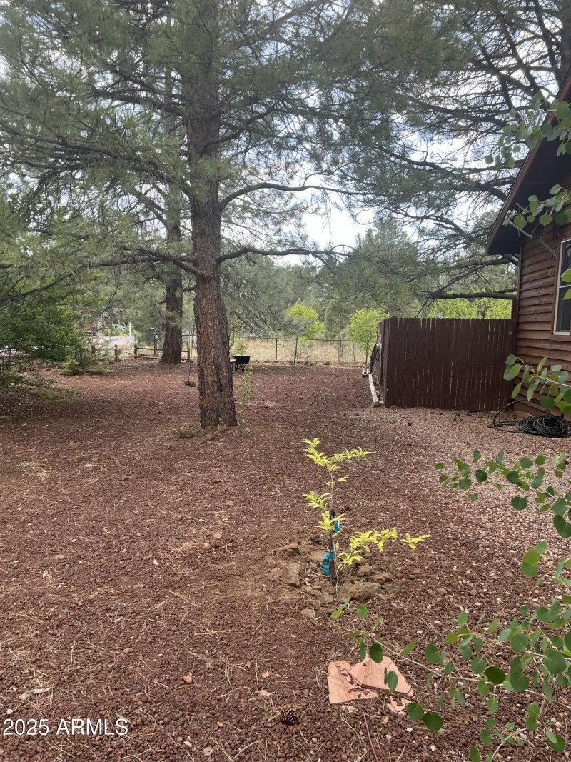 Forest Living