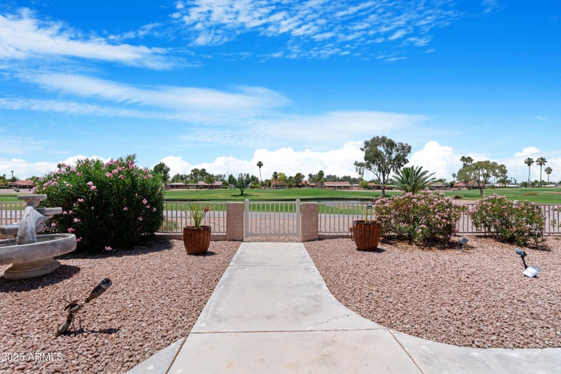 Backyard 3