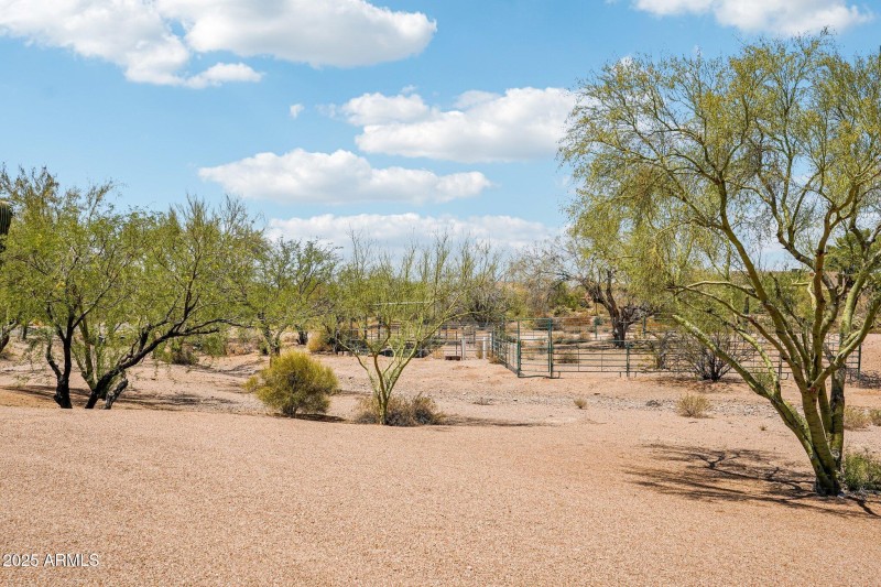 57-web-or-mls-E Cordova St-1006-057