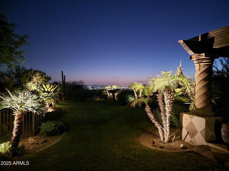 Backyard