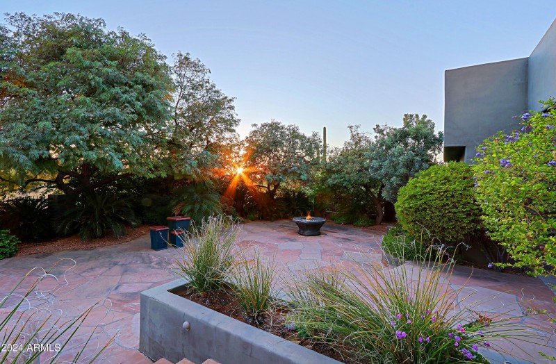 Backyard 9