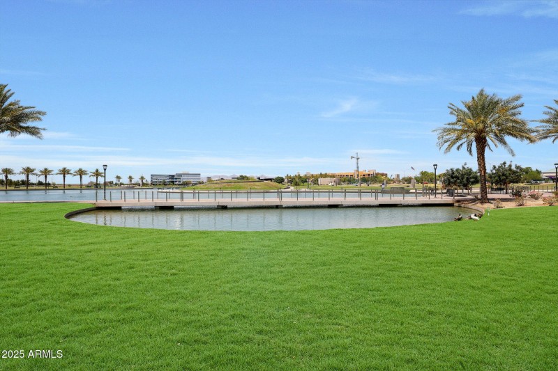 Grass (3)