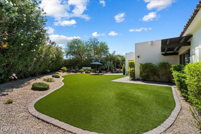 BAckyard Turf