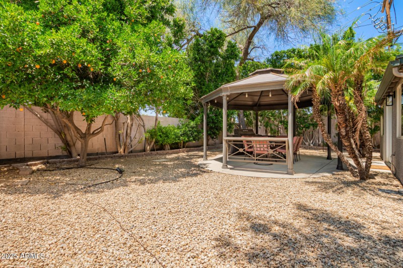 33 - Backyard