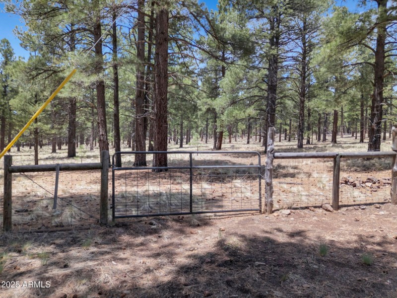 37-web-or-mls-TimberCreekImagery-40