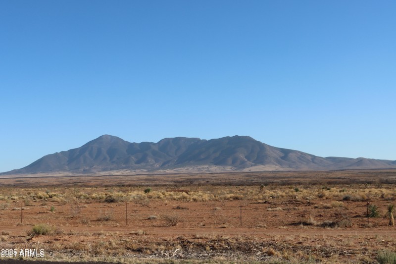 20210423205653099597000000-o