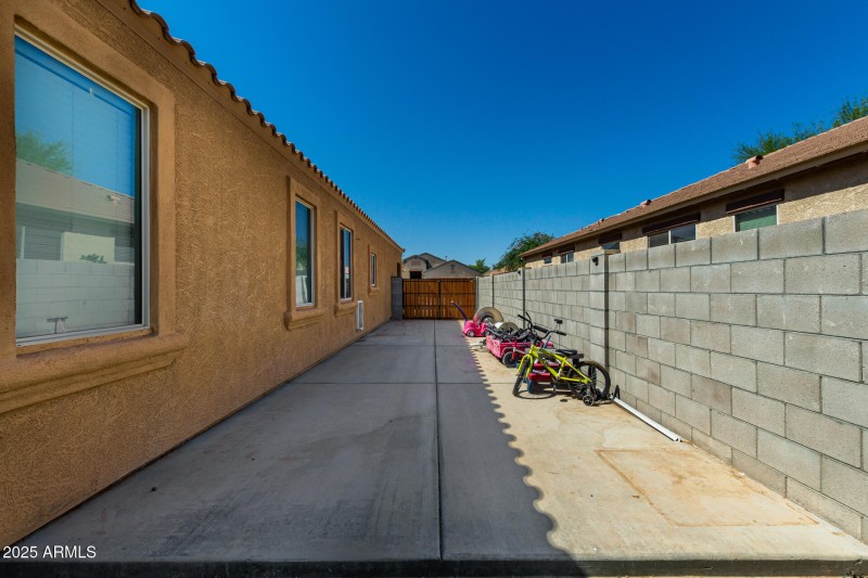 36 - Palo Verde