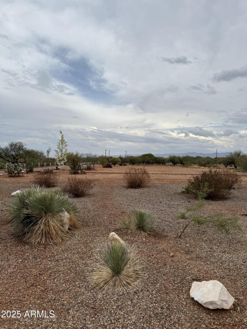 Front Yard