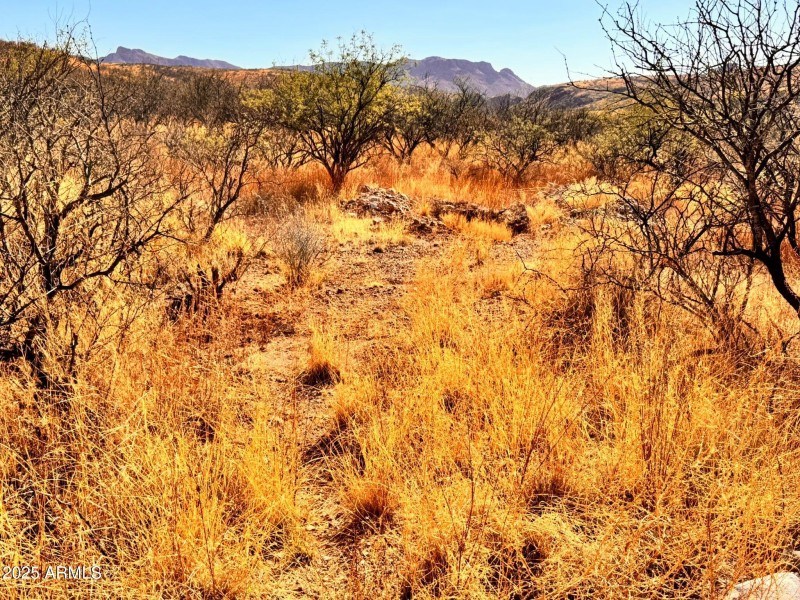 edf5d1f7-47b4-456f-a964-78dc2dc2f9da