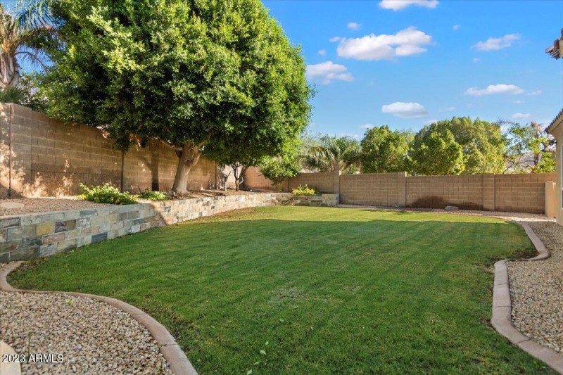 Backyard Grass Area