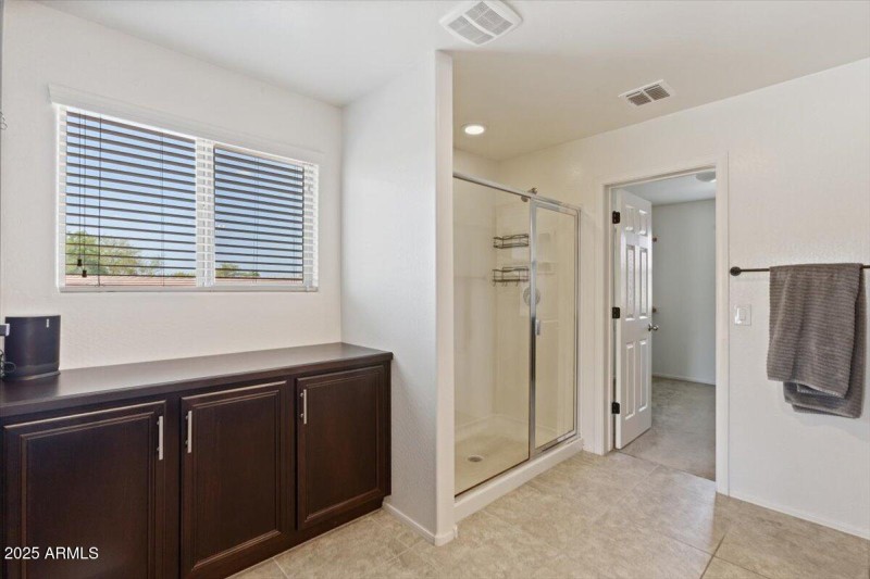 Main bath shower leading to walk-in