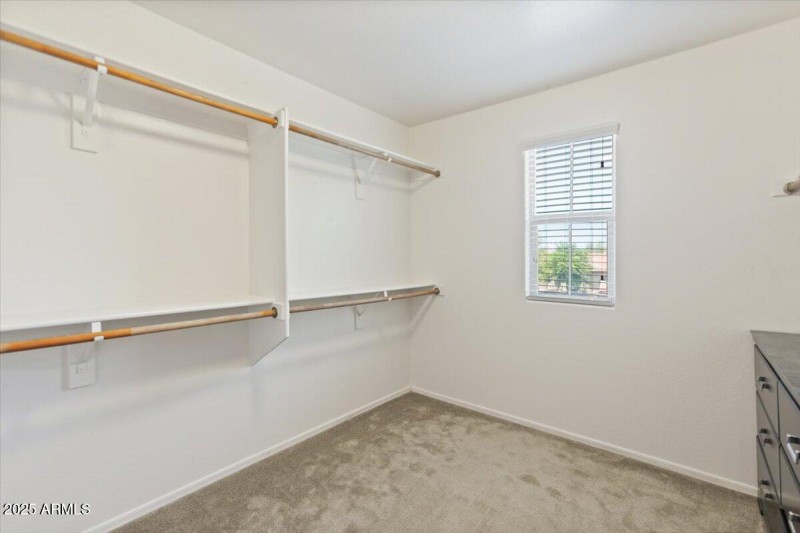 Massive main closet