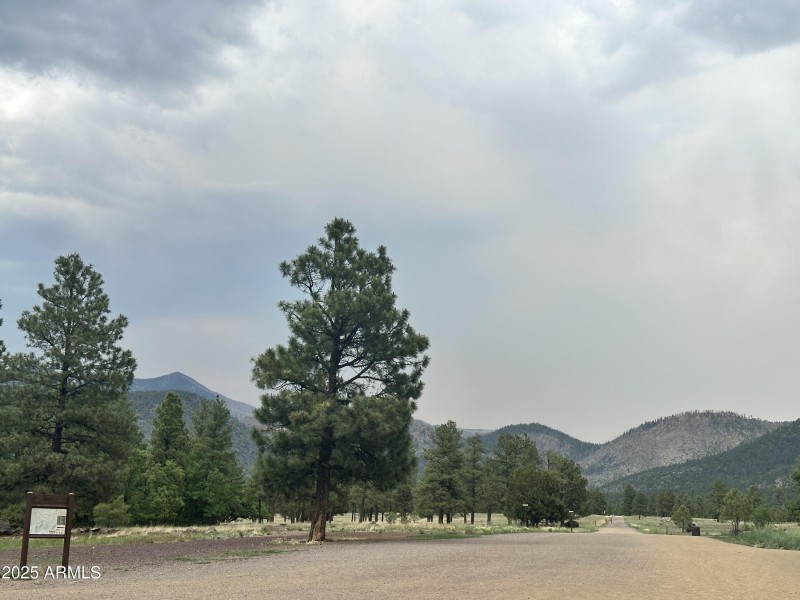 Buffalo Park Trail