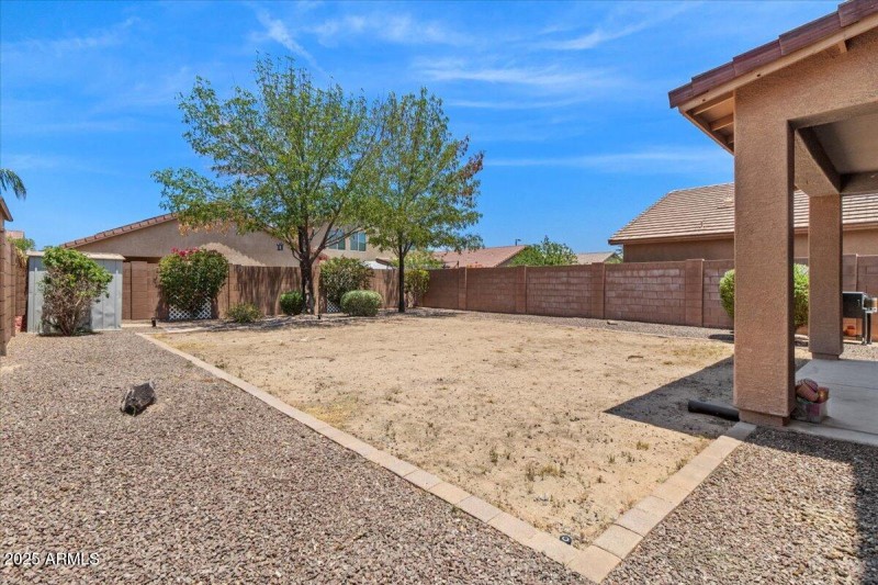 29-Back yard