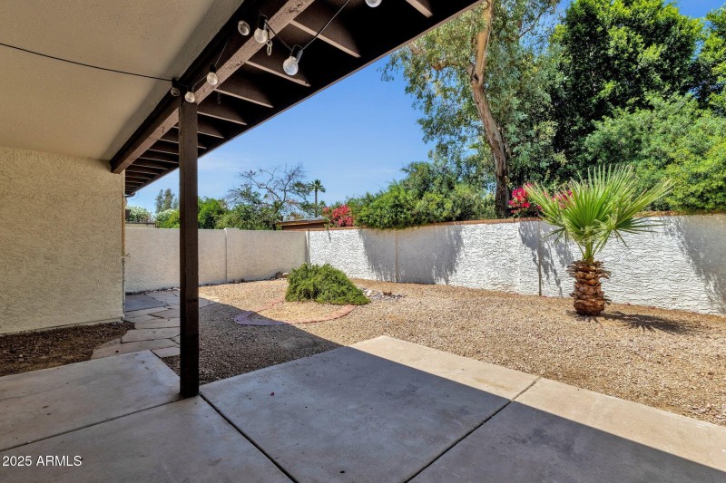 Backyard