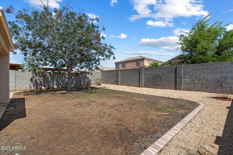 20 Backyard