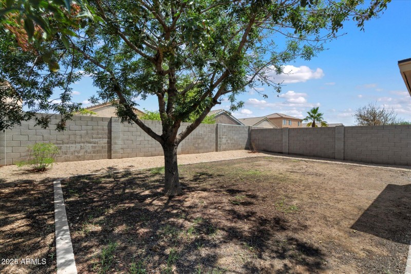 21 Backyard