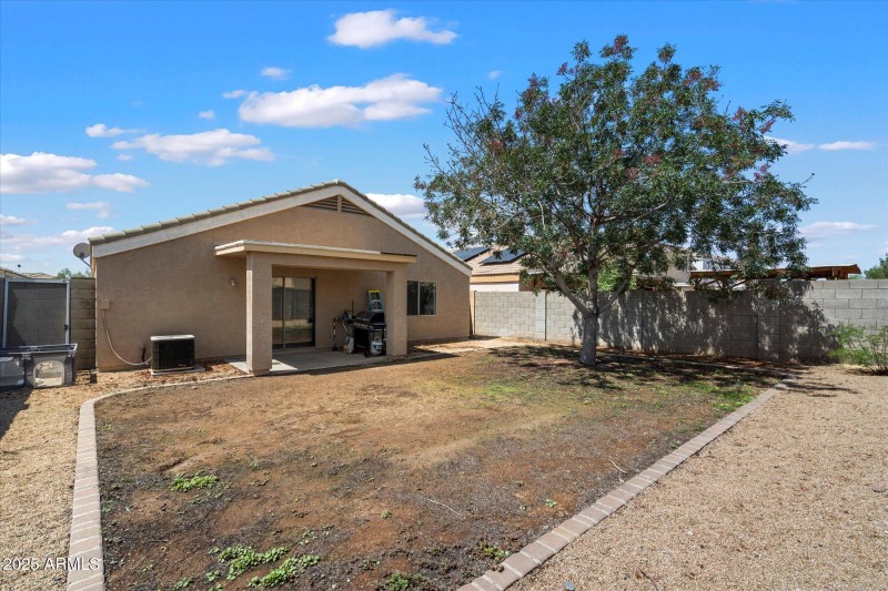 23 Backyard