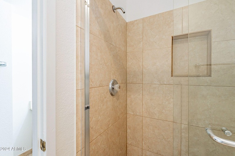 Primary Shower