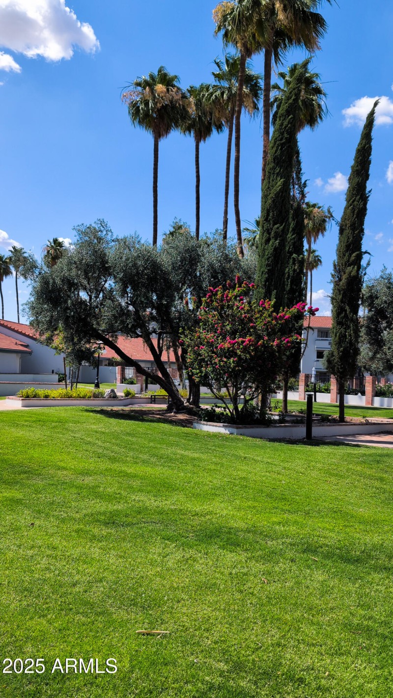 Courtyard 17404 N 99th Ave-060