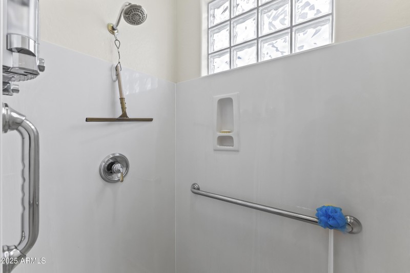 PRIMARY SHOWER