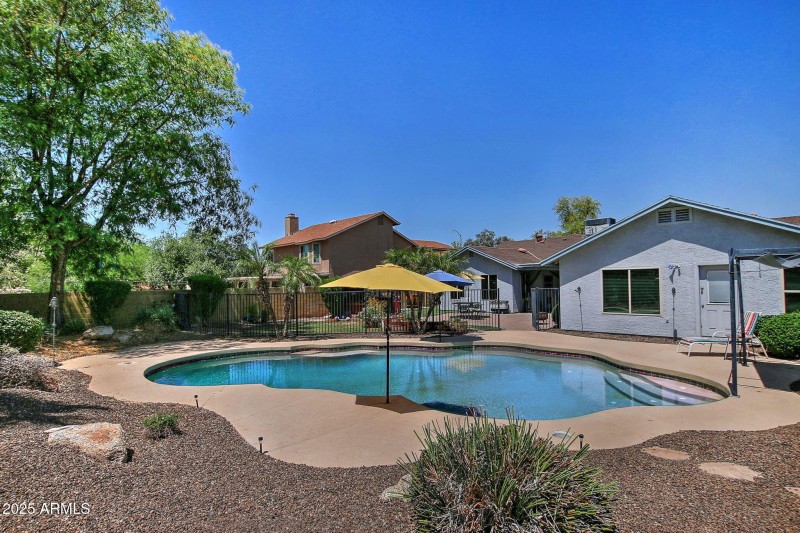 Pool and back yard