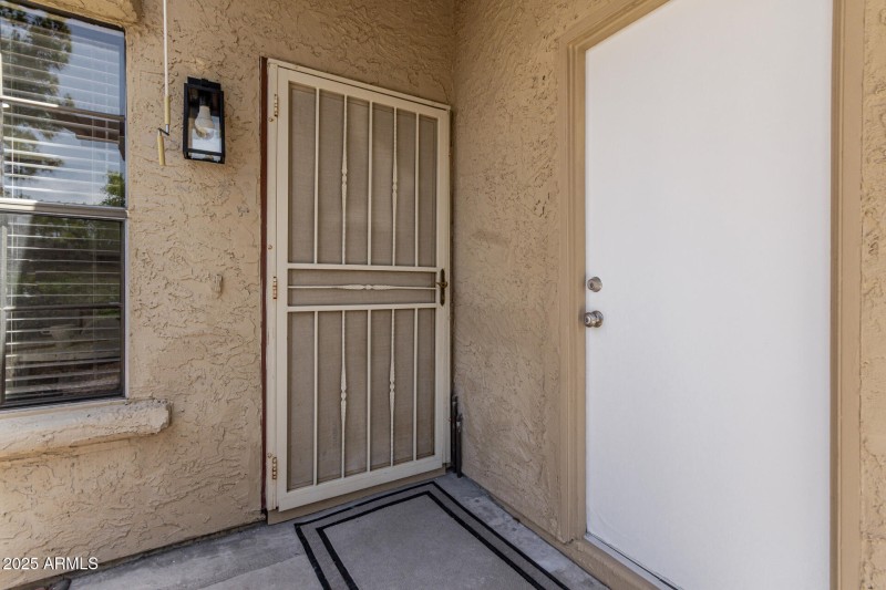 3 - Saguaro 515