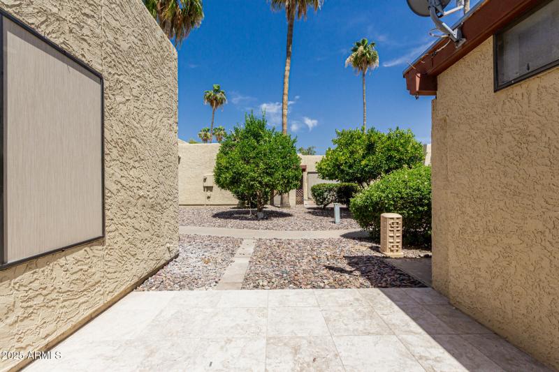 20 - Saguaro 515