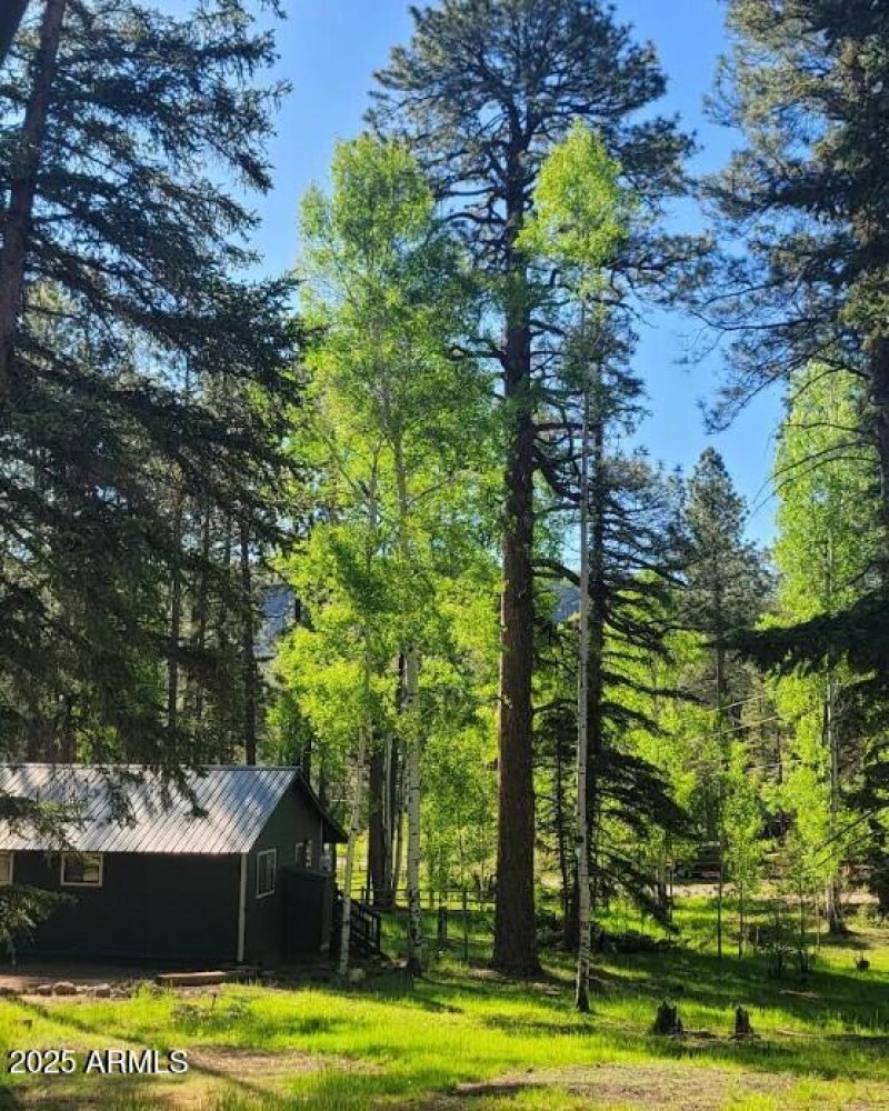 nature