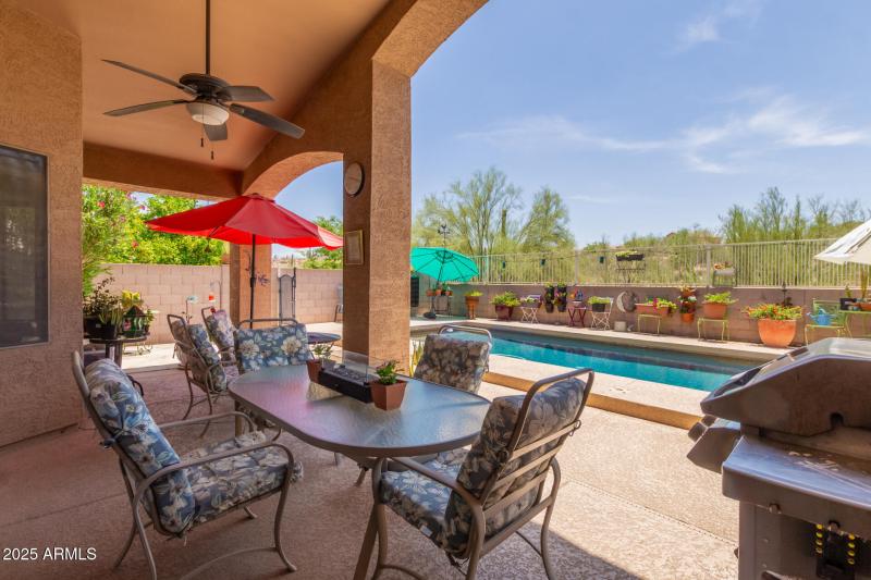 Fabulous back yard