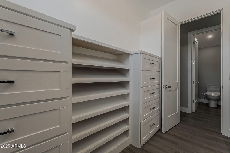 Master Closet 2