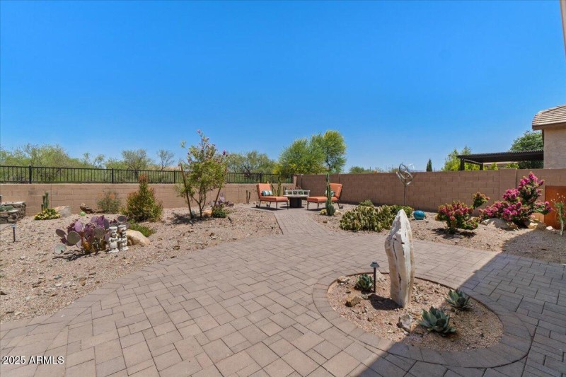 42-Back yard