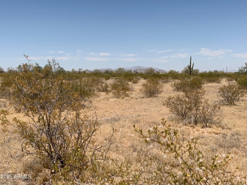 Wide Open Spaces!
