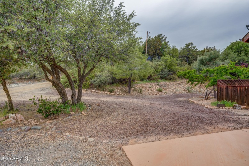 Side Yard 1