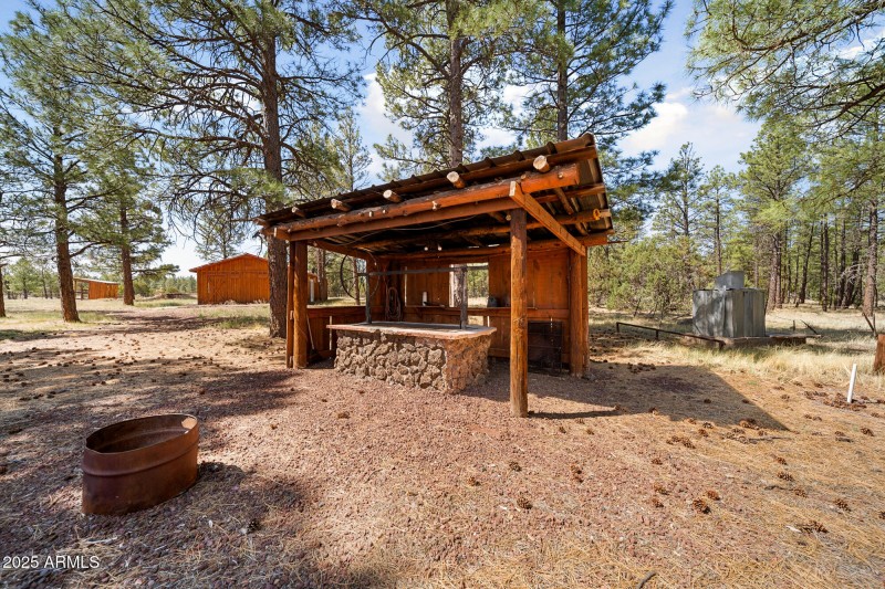 BBQ Pit