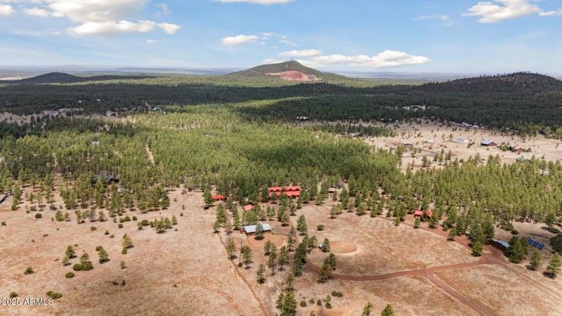 Aerial