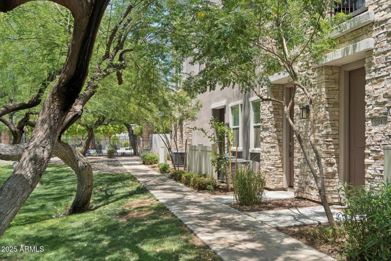 Walk paths and courtyards