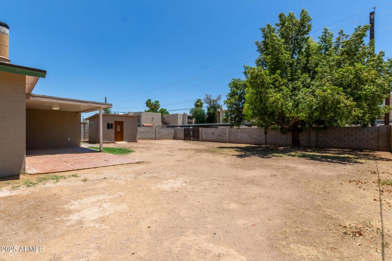 Backyard