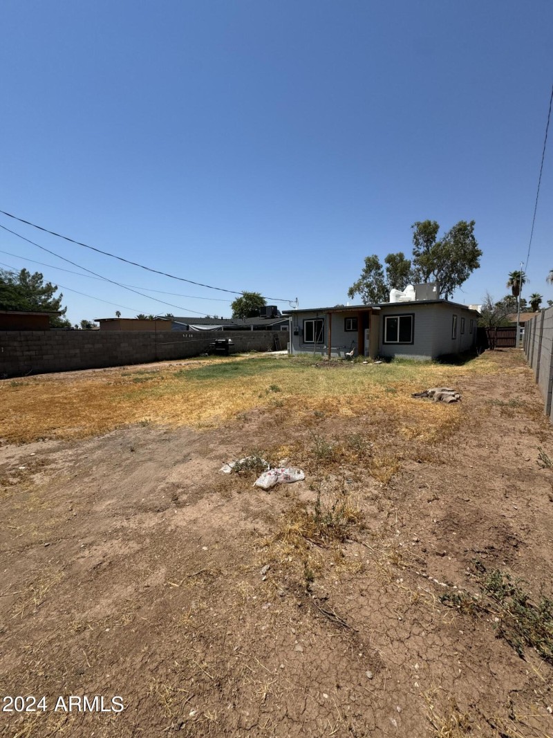 Backyard