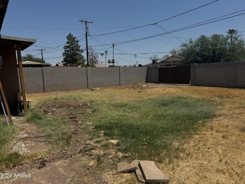 Backyard