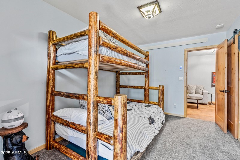 Lower Level Guest Bedroom