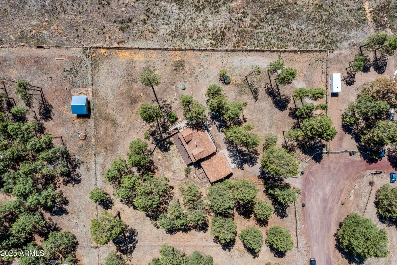 Overhead Shot