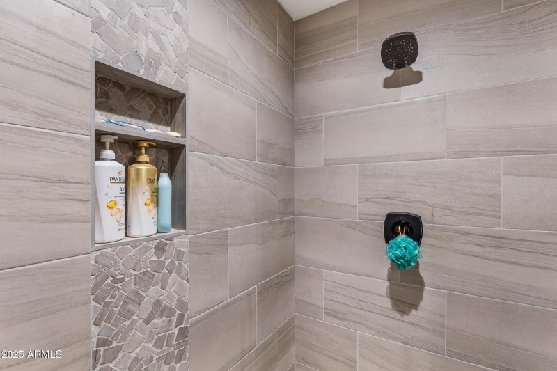 Lower Level Primary Shower