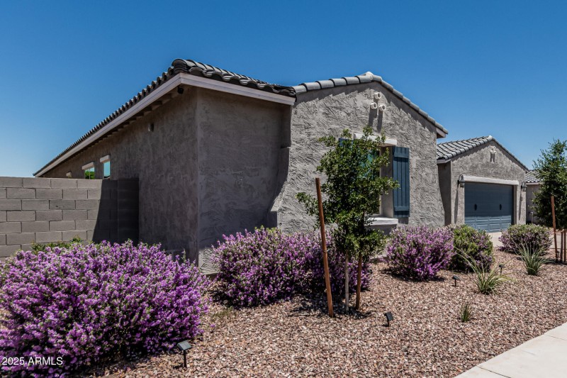 06 Meadowbrook