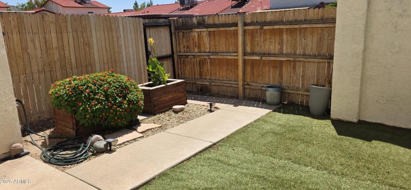 Patio Yard (2)