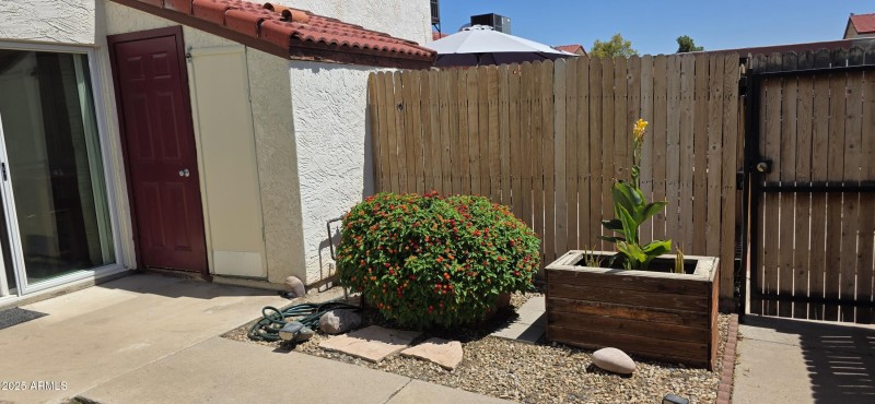 Patio Yard (4)