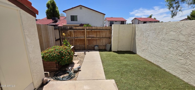 Patio Yard (7)