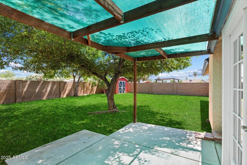Backyard 1